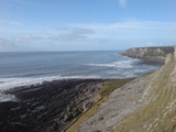 Gower_2_121008_2